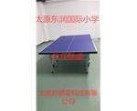 东润国际乒乓球